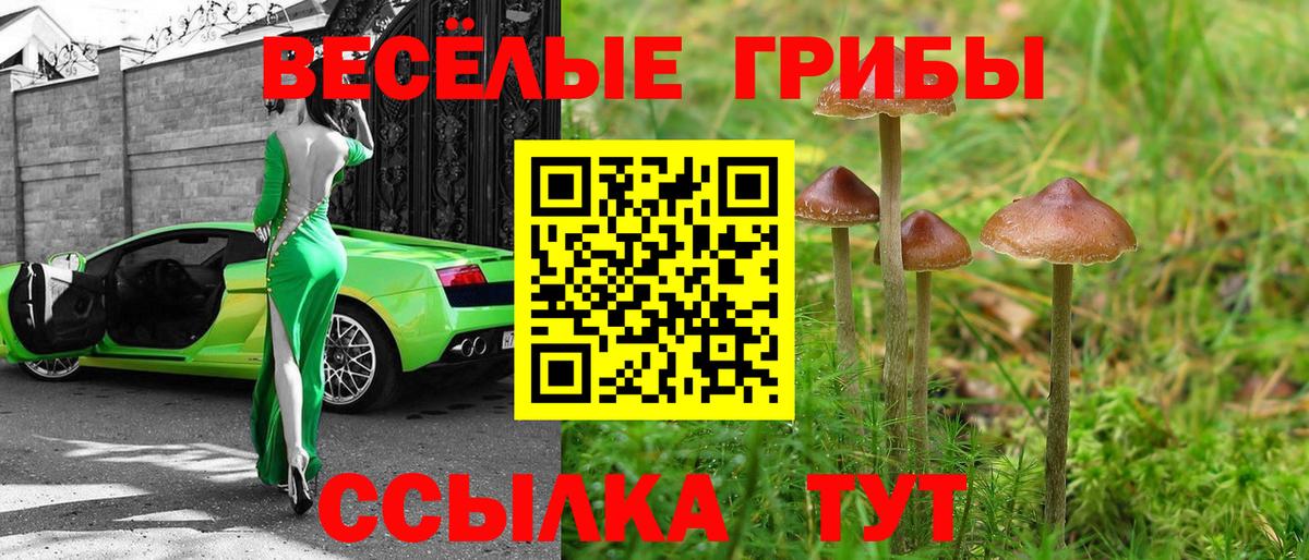 Галлюциногенные грибы MAGIC MUSHROOMS Кириши