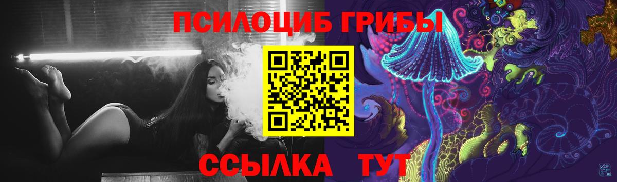 Кириши  Галлюциногенные грибы Cubensis  Вход с VPN 